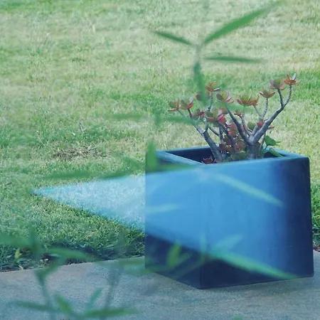 Cary Funchal (Madeira)