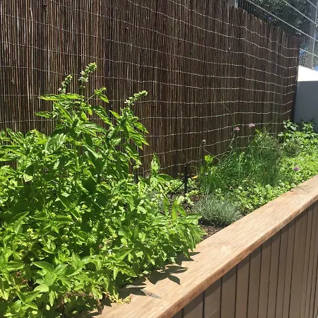 Cary Semesterbostad Funchal (Madeira)