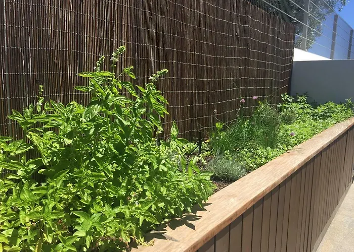 Cary Σπίτι διακοπών Φουνκάλ